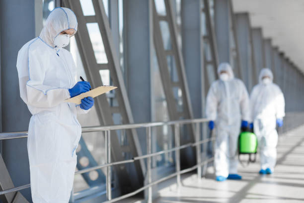 Best Post-Construction Mold Inspection  in Bradley, WV