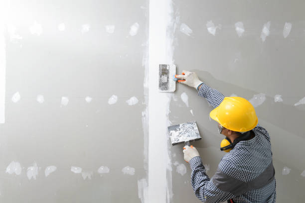Best Biohazard Mold Removal  in Bradley, WV