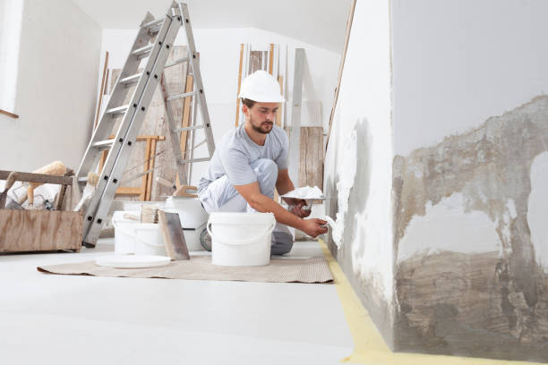 Best Crawl Space Mold Remediation  in Bradley, WV