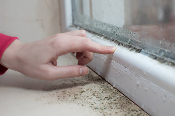 Best Post-Remediation Verification Testing  in Bradley, WV