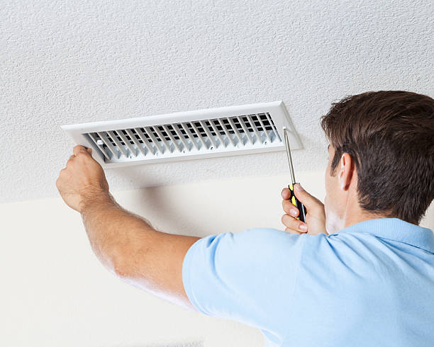  Bradley, WV Mold Removal Pros