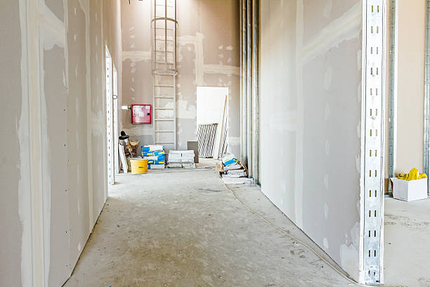 Best Mold Odor Removal Services  in Bradley, WV