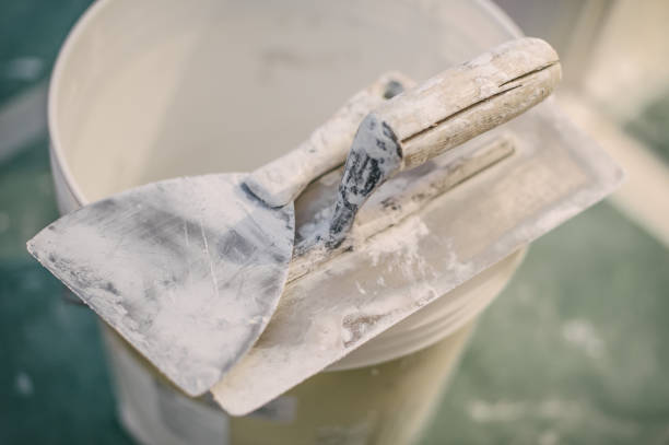 Best Mold Documentation for Insurance Claims  in Bradley, WV