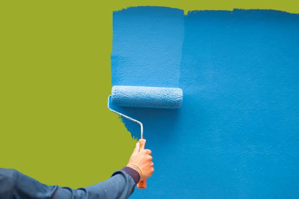 Trusted Bradley, WV Mold Removal Experts