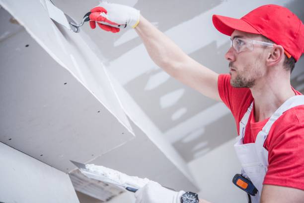 Best Mold Odor Removal Services  in Bradley, WV